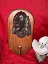 Spaniel pet dog for sale  BURNTWOOD