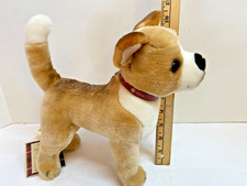 Steiff american kennel for sale  Camp Verde