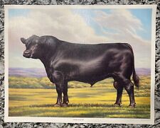 Vintage american angus for sale  Middletown