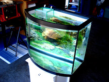 Aquarium tank rounded for sale  Vincentown