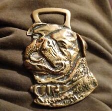 Vintage brass horse for sale  BRISTOL