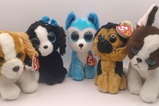 Beanie boos dog for sale  TORRINGTON