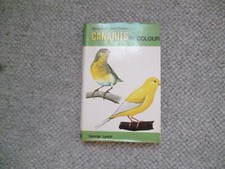 Canaries colour george for sale  BURNHAM-ON-SEA