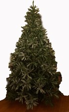 Grande folto albero usato  Fondi