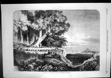 Antique print kabar for sale  UK