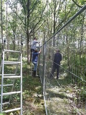 Pheasant release pen for sale  BEDFORD