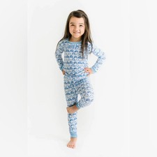 Little Sleepies Blue Rainbow 2 peças conjunto PJ - Sardas chiques unissex confortável 5/6 comprar usado  Enviando para Brazil