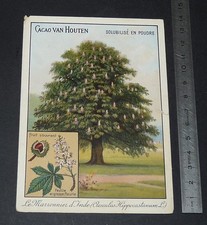 Grand chromo cacao d'occasion  Vendat