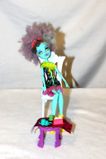 Monster high puppe gebraucht kaufen  Rosbach v. d. Höhe