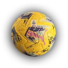 Torino pallone ufficiale usato  Torino