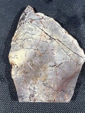Exotica sci porcelain for sale  Saugatuck
