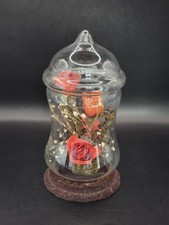 Vintage dried roses for sale  Janesville