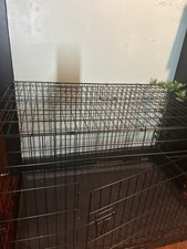 Bestpet dog folding for sale  Allentown