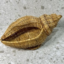 Cute seashell shaped for sale  Mayer