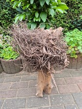 Skulptur wurzel stamm gebraucht kaufen  Werneuchen