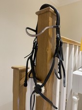 Velociti grackle horse for sale  HIGH WYCOMBE