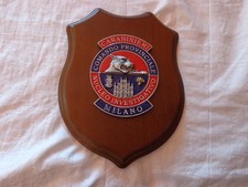 Carabinieri milano gruppo usato  Varano Borghi