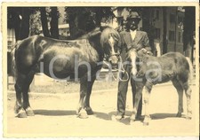 1940 sondrio mostra usato  Milano