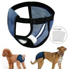 Sportliche hundehöschen hunde gebraucht kaufen  Bad Oldesloe