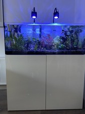 Evolution aqua aquarium for sale  MARLOW
