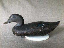 Early black duck for sale  Washington