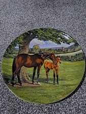 Vintage spode plate for sale  NORWICH