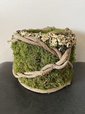 Wood vine moss for sale  Greenwood