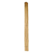Canna bambu ãƒëœ usato  Italia