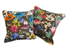 New listing tulipan for sale  MANCHESTER