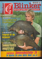 Blinker ausgabe 2000 gebraucht kaufen  Tespe