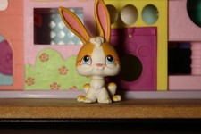 Petshop lapin aimant d'occasion  Bully-les-Mines