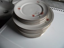 Stück zum aussuchen gebraucht kaufen  Bützow