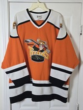 Tigger titans hockey for sale  Cumberland