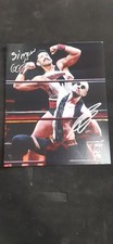 Wrestling autografo vaude usato  Montichiari