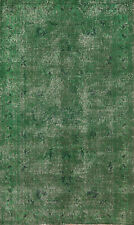 Green dyed anatolian for sale  Charlotte