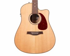 Seagull performer cutaway for sale  Winchester