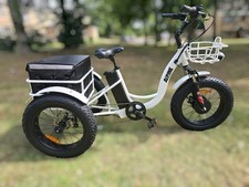 Tricycle alpine electric for sale  THETFORD