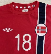 2012 2013 norway usato  Torino