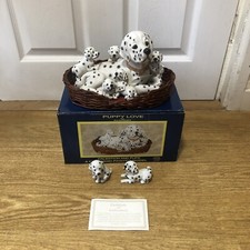 Rare puppy love for sale  SWANSEA