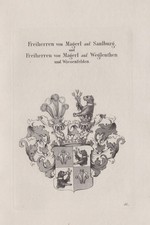 1830 magerl saulburg gebraucht kaufen  Seubersdorf