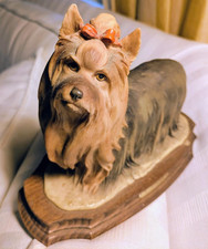 Yorkshire silky terrier for sale Yorkshire silky terrier for sale  Miami