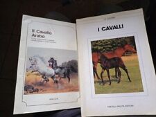 Cavallo arabo gemme usato  Monfalcone