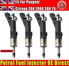 Petrol fuel injector for sale  TAMWORTH