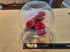 Vintage botanica goldfish for sale  ASHFORD