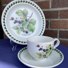 Portmeirion pomona susan gebraucht kaufen  Peine