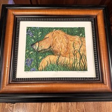 Dog work limited for sale  Fort Smith