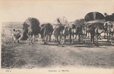 Maroc caravane marche d'occasion  Vasles