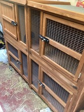 Rabbit guinea pig for sale  NORTHAMPTON
