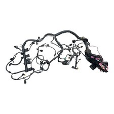 Motorkabelbaum tsi 120ps gebraucht kaufen  Petershagen