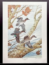 John ruthven limited for sale  Cincinnati